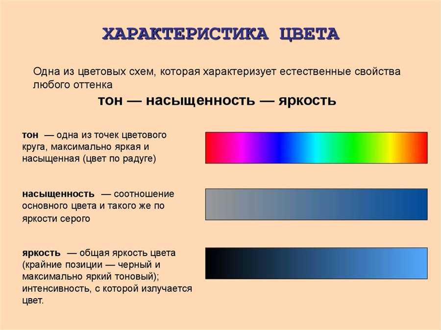 Регулярное обслуживание как ключевой момент в сохранении яркости