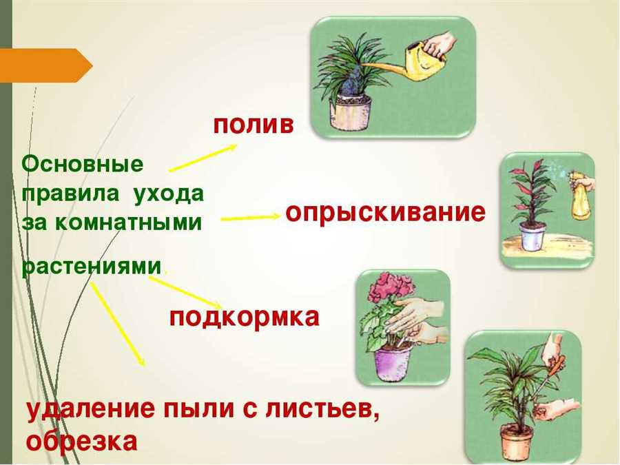 Регулярный контроль влажности и вентиляции